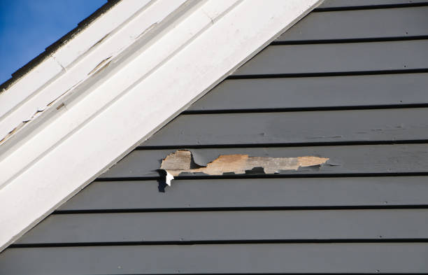 Same-Day Junk Removal Services in Pennville, PA